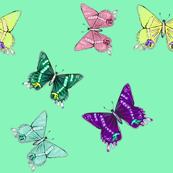 Butterflies are free- large 