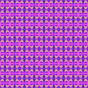 s_e_c_purple_and_yellow_johnie-jump-ups_6_28_09_006