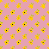 Black Eyed Susan