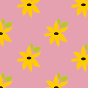 Black Eyed Susan