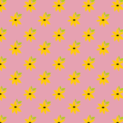 Black Eyed Susan