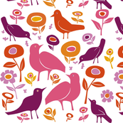 Magenta_birds