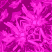 qt_2_crop_fushia_aster_Picnik_collage