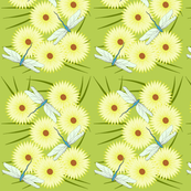 vll_dragon_flies_and_daisies_1
