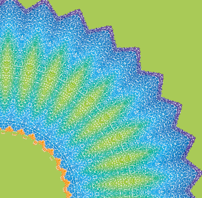 peacock fan dance