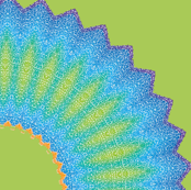 peacock fan dance