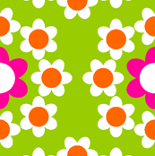 Daisy_Chain