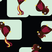 Birds