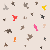 birds