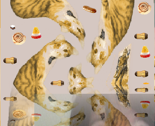 Cats_thumb