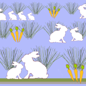 Carrot_Patch