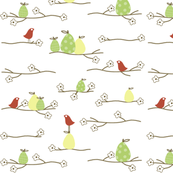 pears 