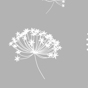 flowerwhiteongray