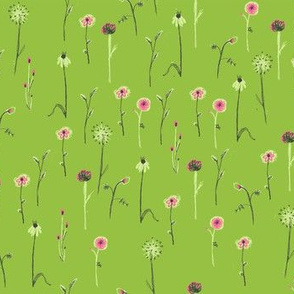 wildflowersapplegreen