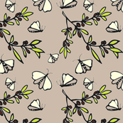Olives and Butterflies - Natural © Kristopher K  2010