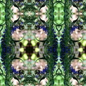 Thoughts of Spring