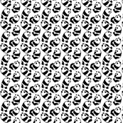 Pandas