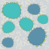 Bacteria