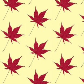 Maple Leaf