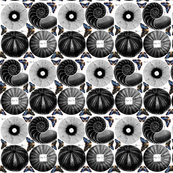 circles & butterflies
