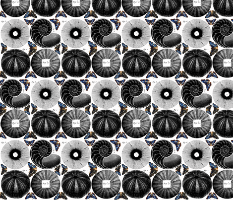 circles & butterflies fabric by saltlabs on Spoonflower - custom fabric