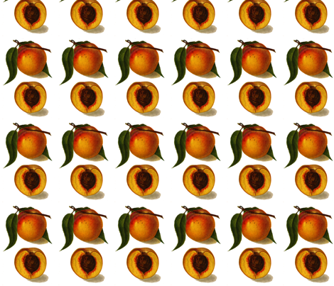 best peaches fabric by saltlabs on Spoonflower - custom fabric