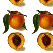 best peaches