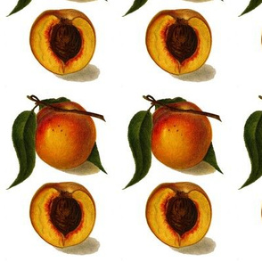 best peaches