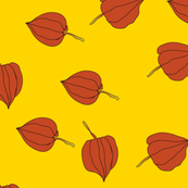 Chinese Lanterns