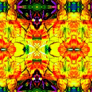 Mirrored Daffodils