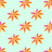 Anise