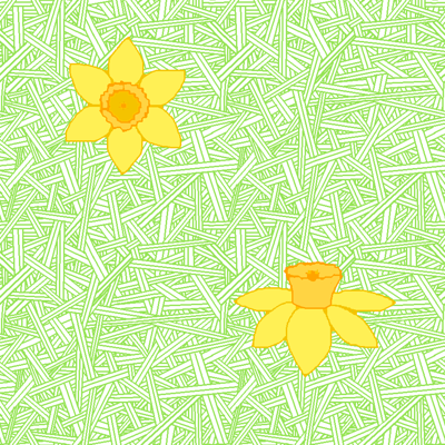 daffodil