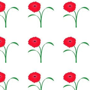 Gerbera Small