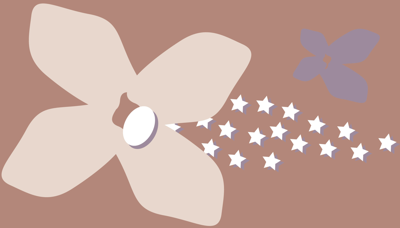 ponderosa_mauve