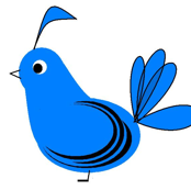 Blue Birds