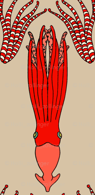 candy_squid