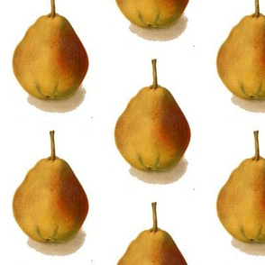 best pear (test)