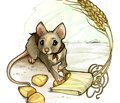 Field Mouse