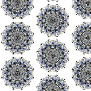 Scribbly Lace