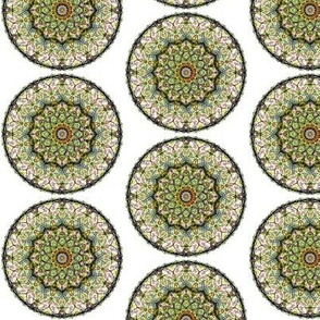 Peacock's Lace