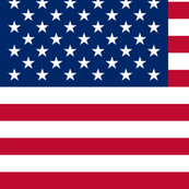 American Stars & Stripes Flag