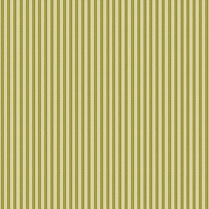 stripe_olive_coord
