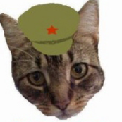 Chairman Meow