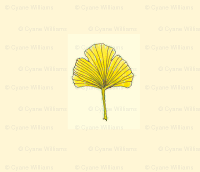 Ginkgo Leaf