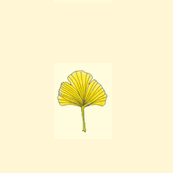 Ginkgo Leaf