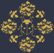 Ladybug