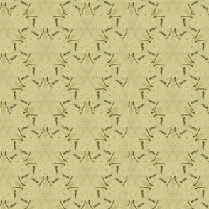 Yellow_Twig_Road