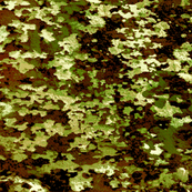 camofabric_forPrinting