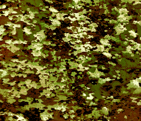 camofabric_forPrinting fabric by plushplay on Spoonflower - custom fabric