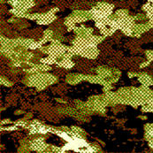 camofabric_forPrinting